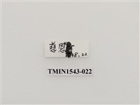 藏品(三錐象鼻蟲科)的圖片